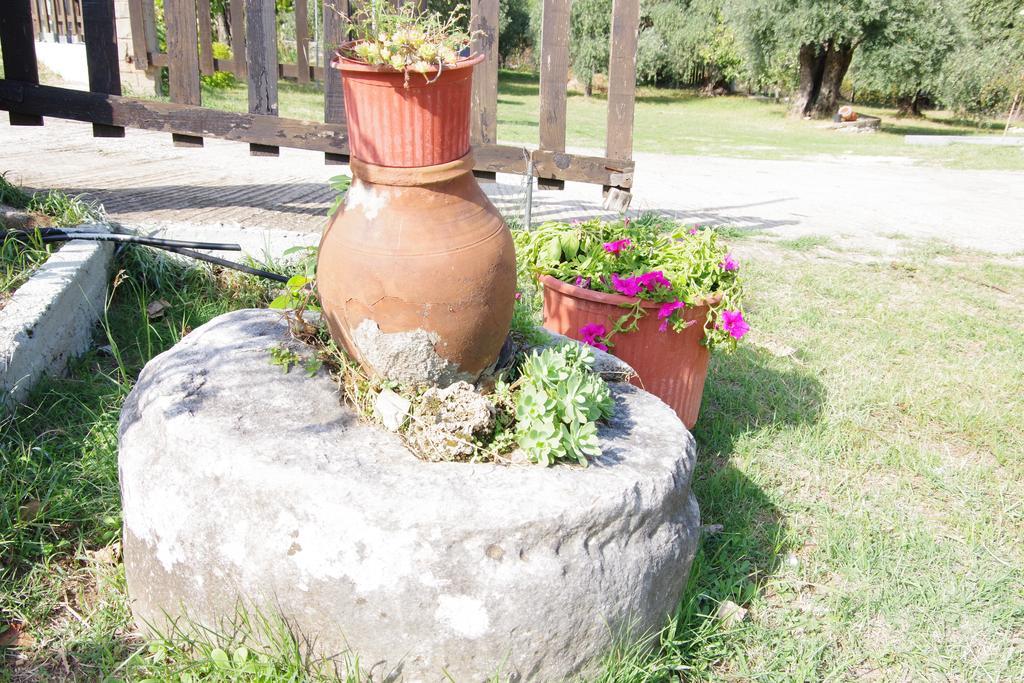 Athina Hotel Koinira Ngoại thất bức ảnh